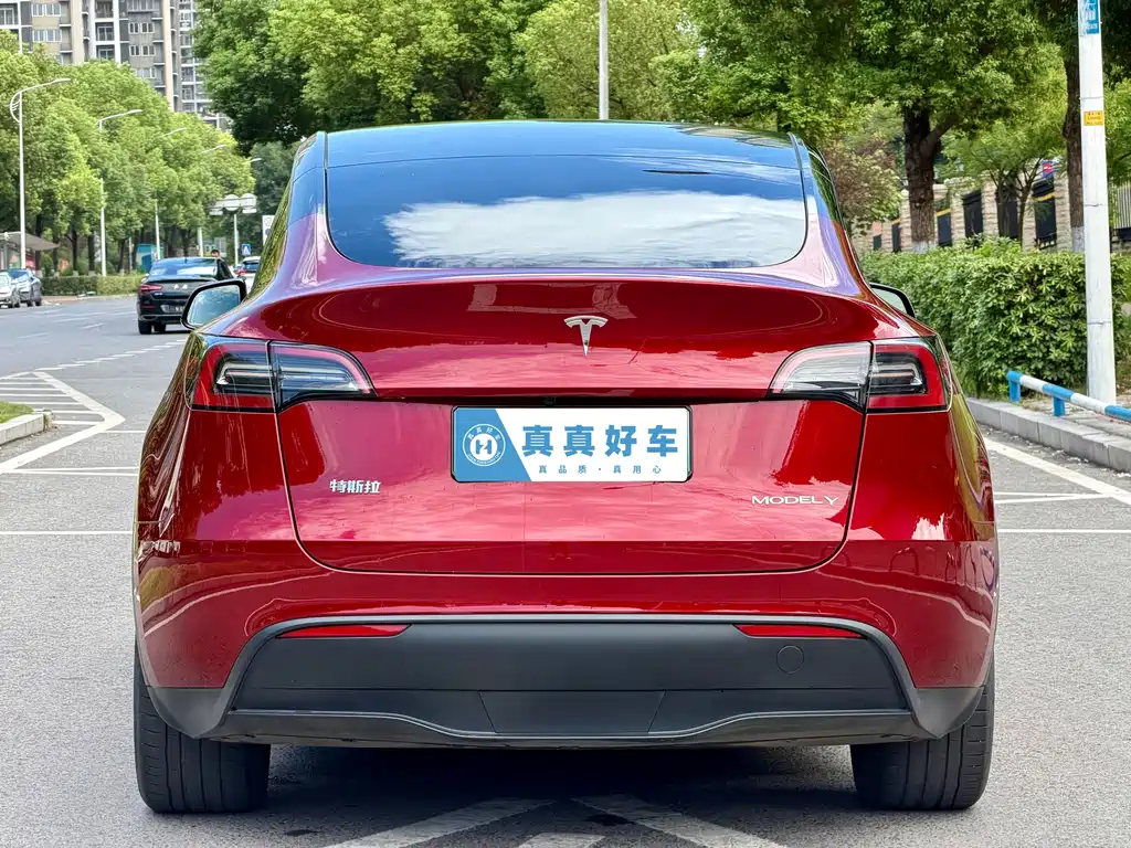 Tesla Model Y — фото 5