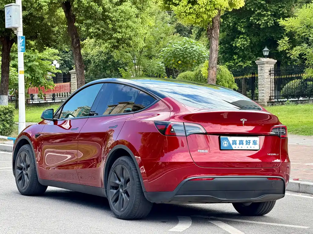 Tesla Model Y — фото 6