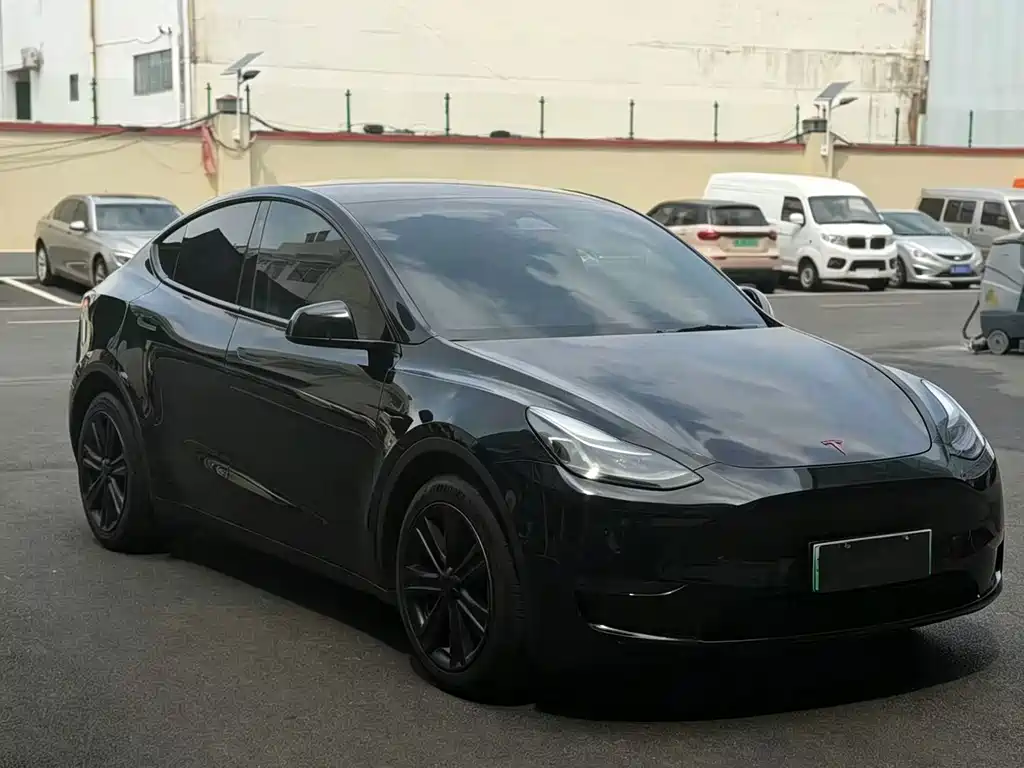 Tesla Model Y — фото 3