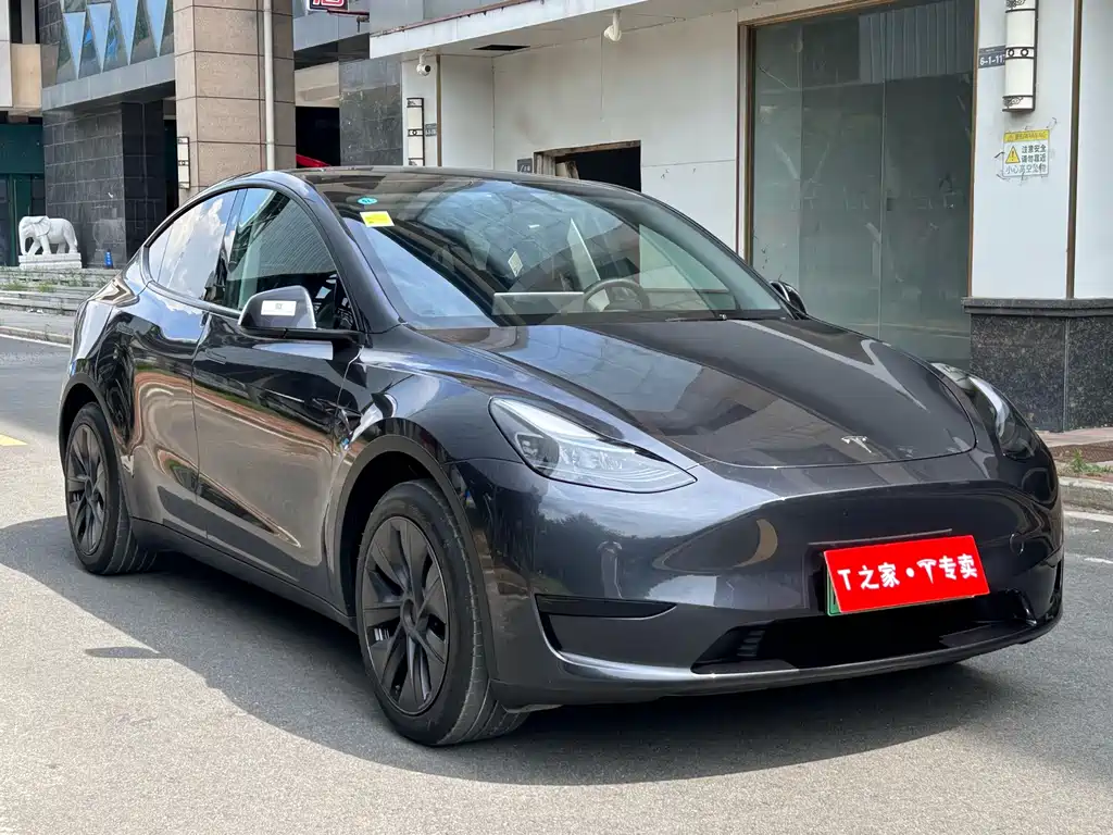 Tesla Model Y — фото 3