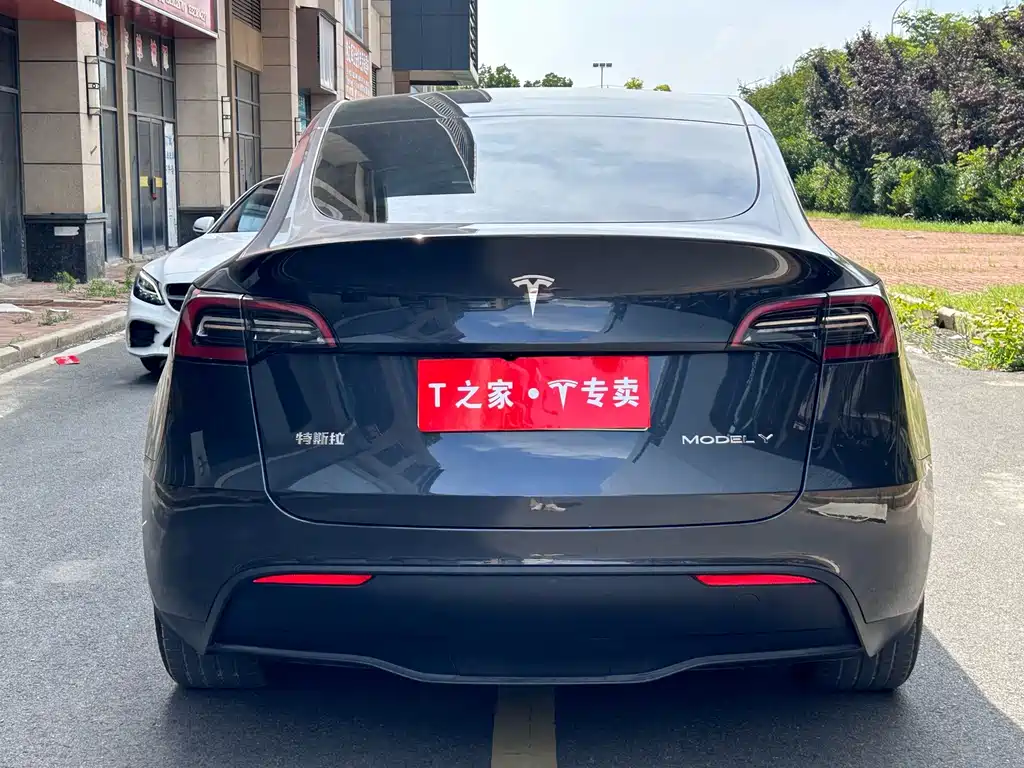 Tesla Model Y — фото 9