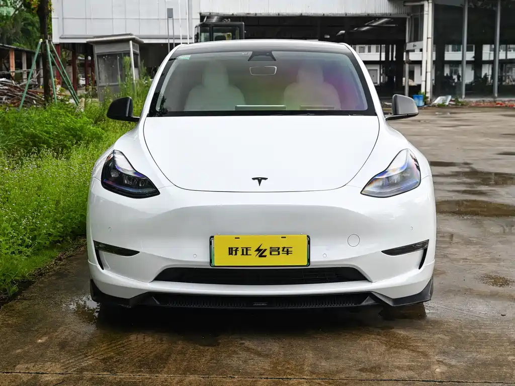 Tesla Model Y — фото 2