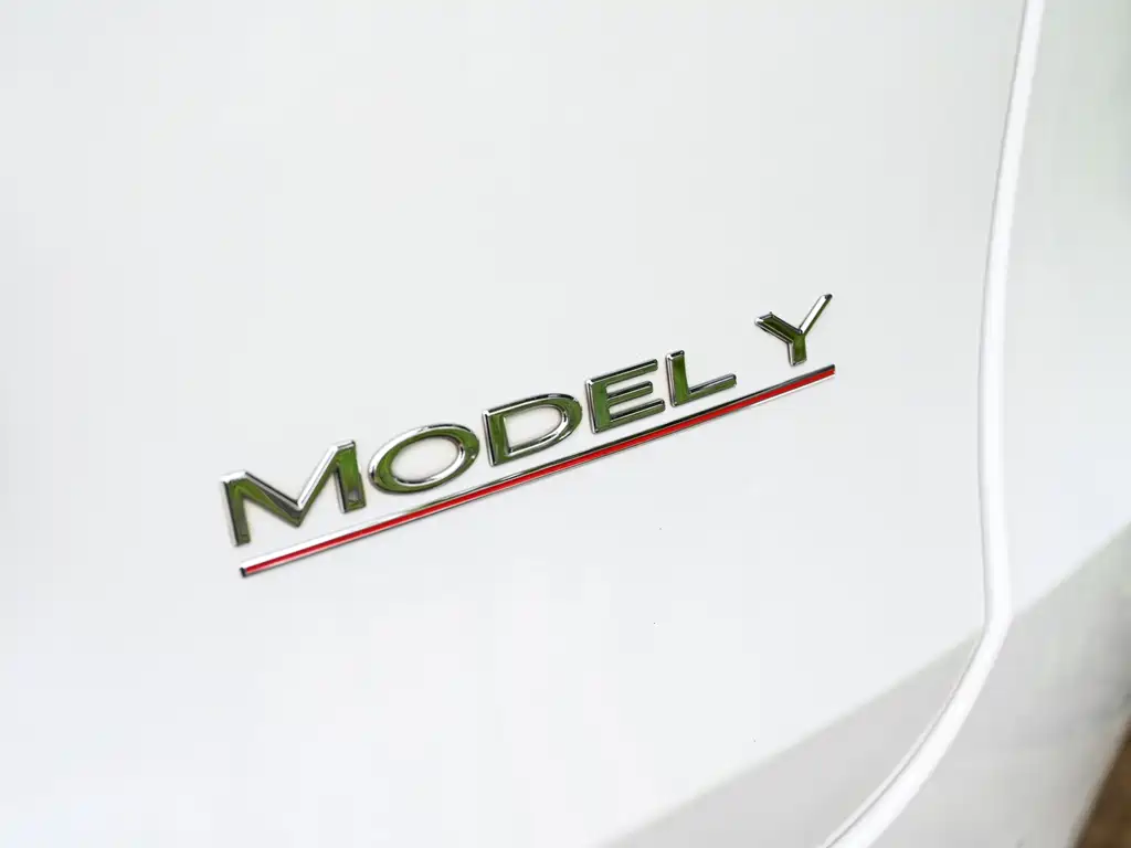 Tesla Model Y — фото 23