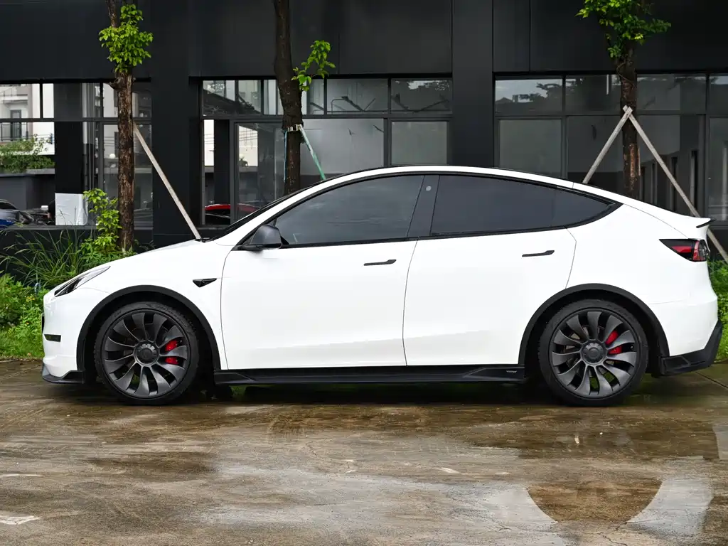 Tesla Model Y — фото 4