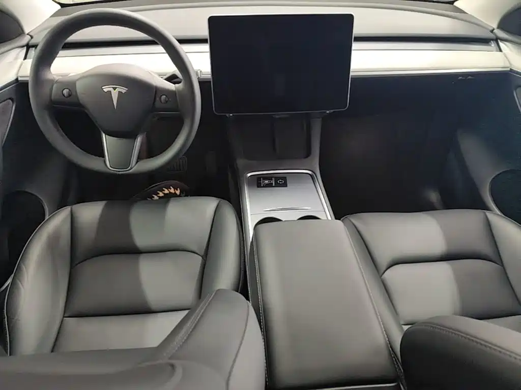 Tesla Model Y — фото 10