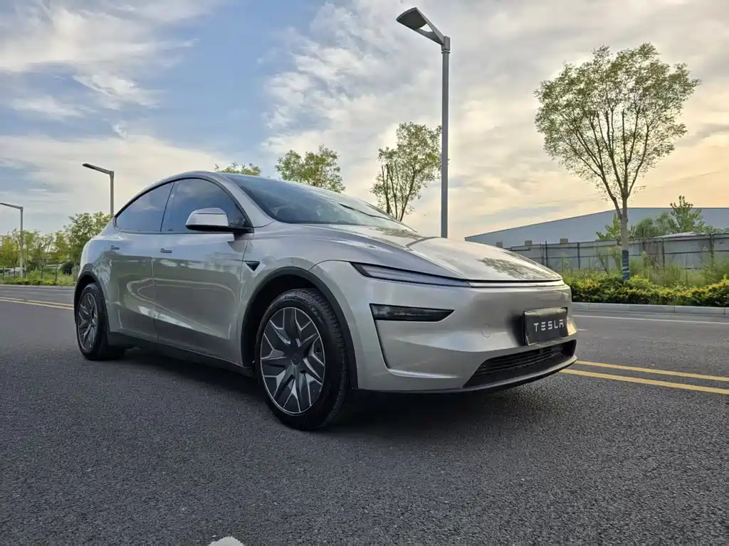 Tesla Model Y L — фото 3