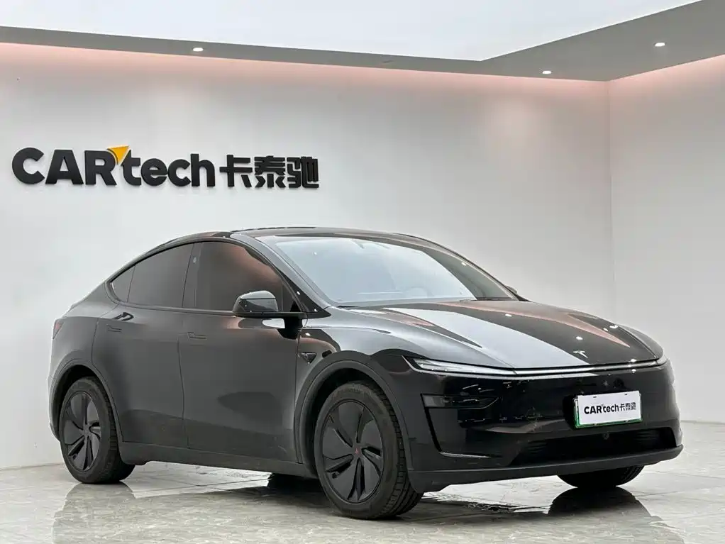 Tesla Model Y — фото 6
