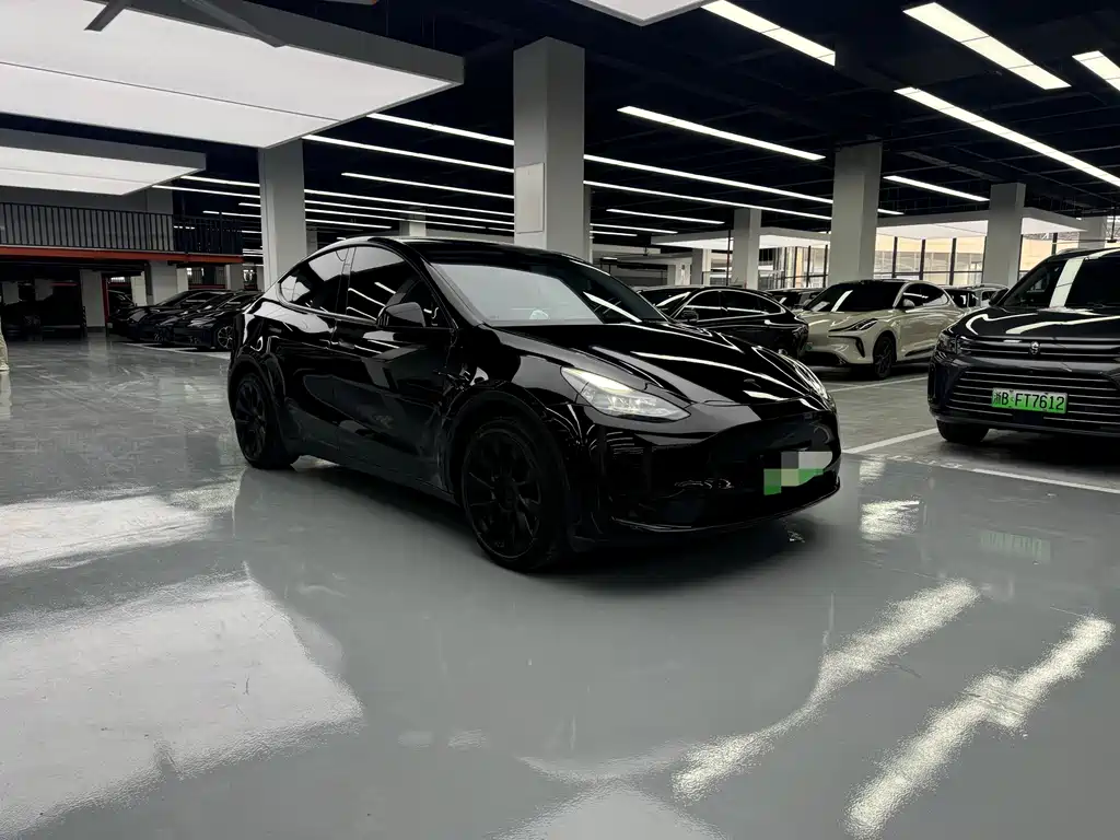 Tesla Model Y — фото 3