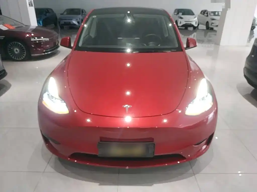 Tesla Model Y — фото 3