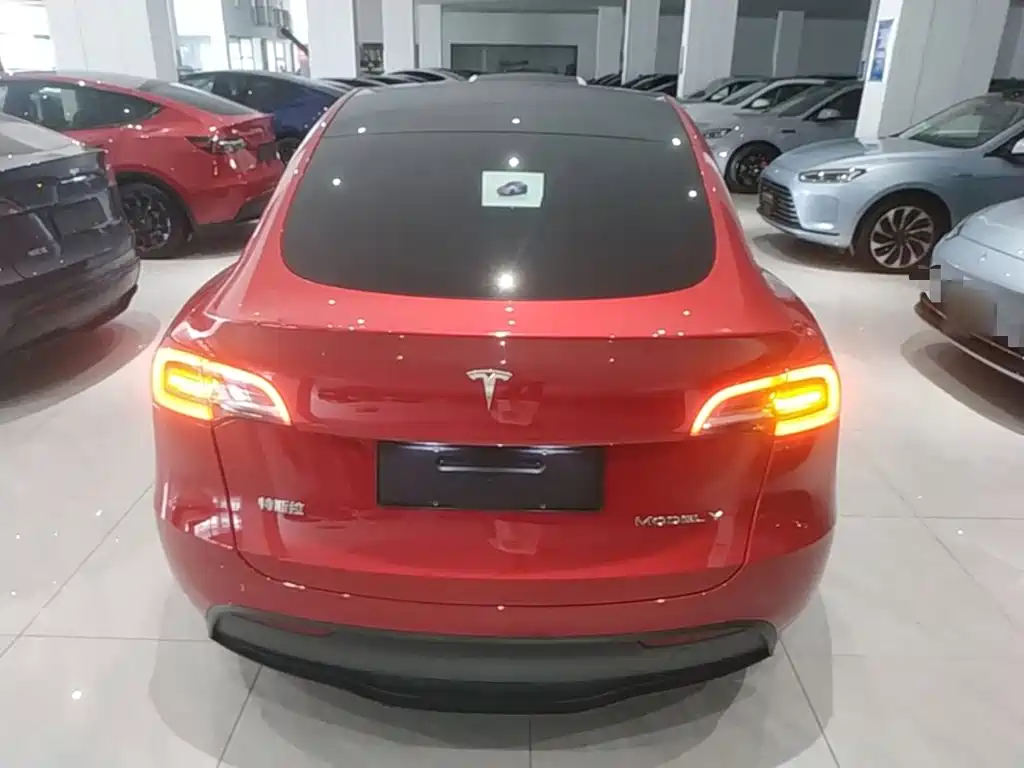 Tesla Model Y — фото 6