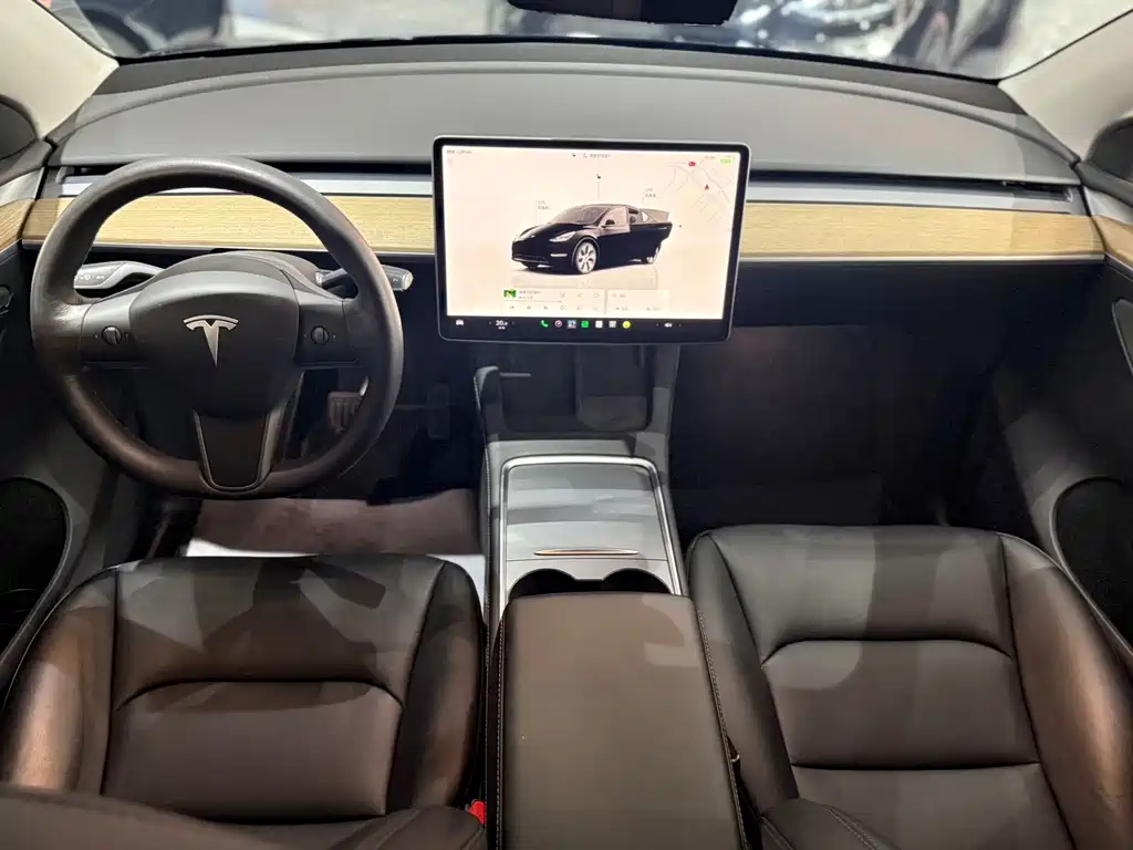 Tesla Model Y — фото 9