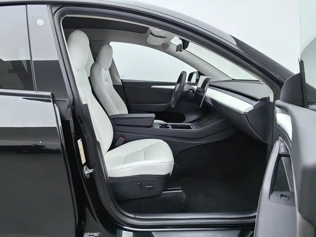 Tesla Model Y — фото 23