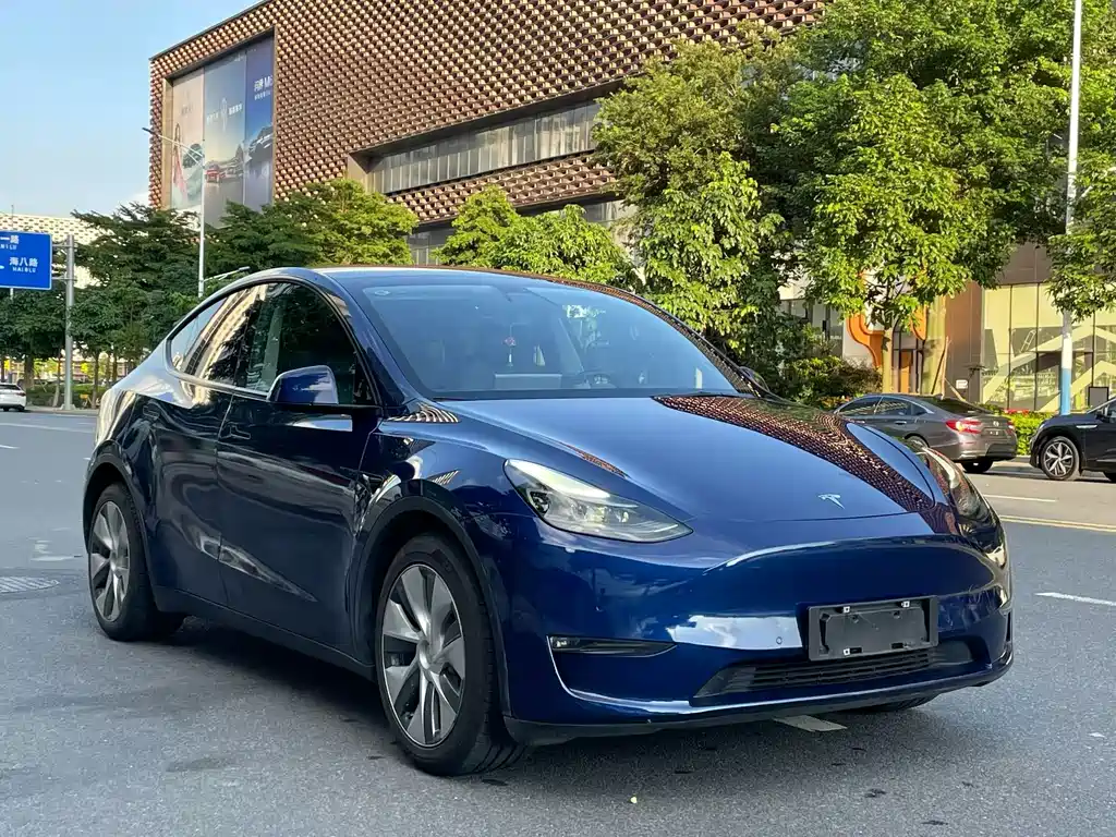 Tesla Model Y — фото 3