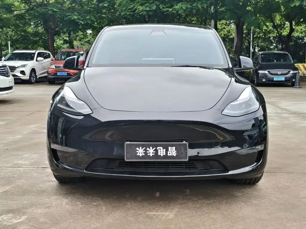 Tesla Model Y — фото 3