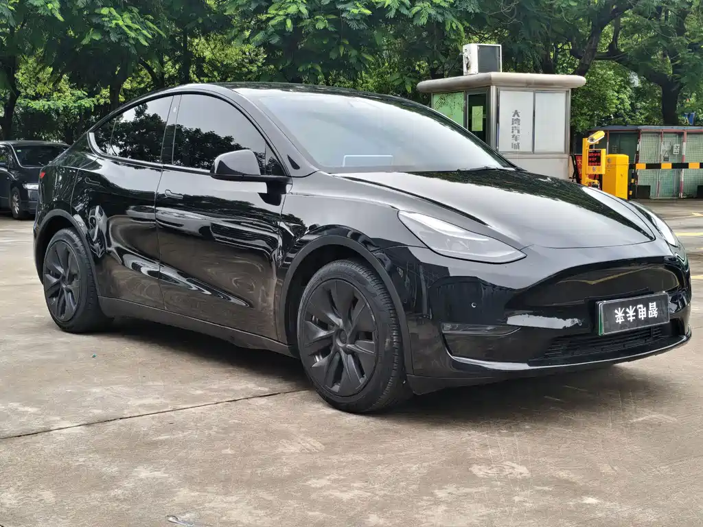Tesla Model Y — фото 4