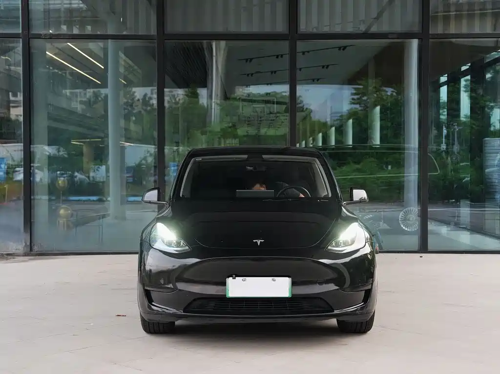 Tesla Model Y — фото 2