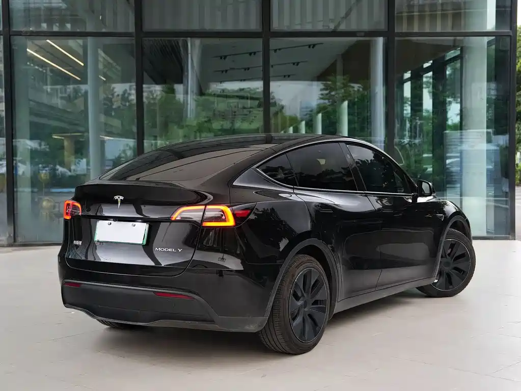 Tesla Model Y — фото 11