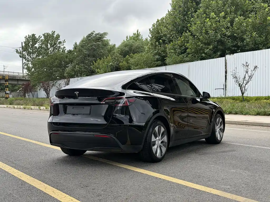 Tesla Model Y — фото 9