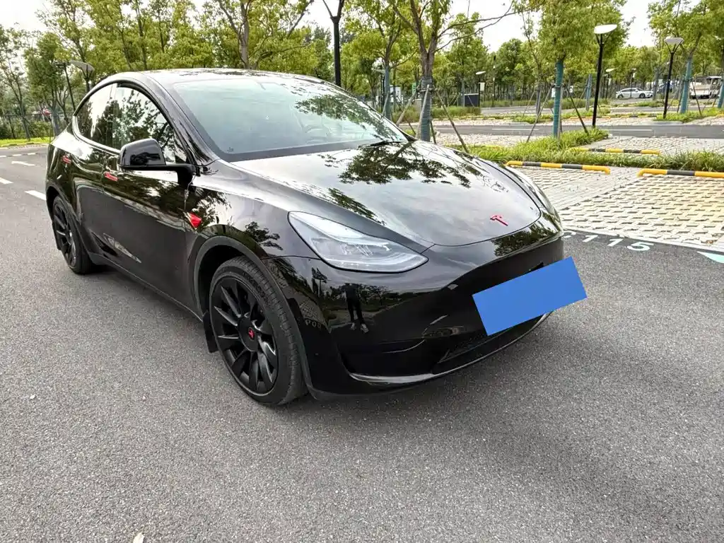 Tesla Model Y — фото 3