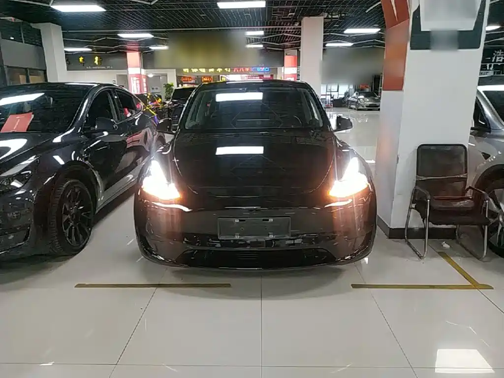 Tesla Model Y — фото 3