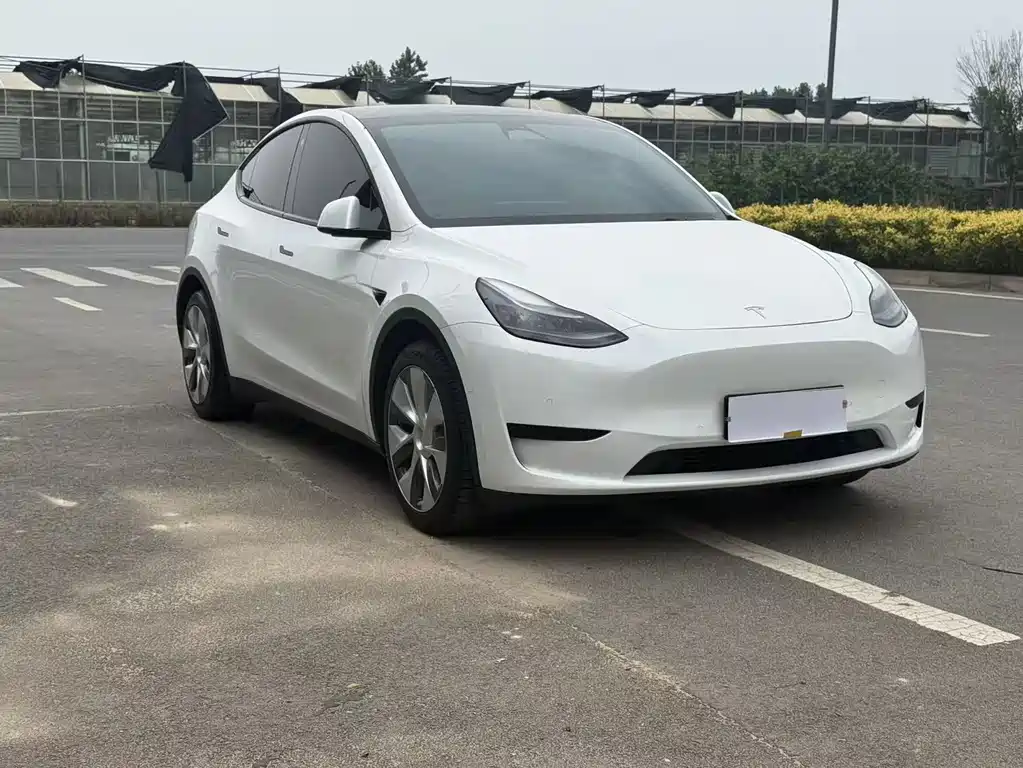Tesla Model Y — фото 3