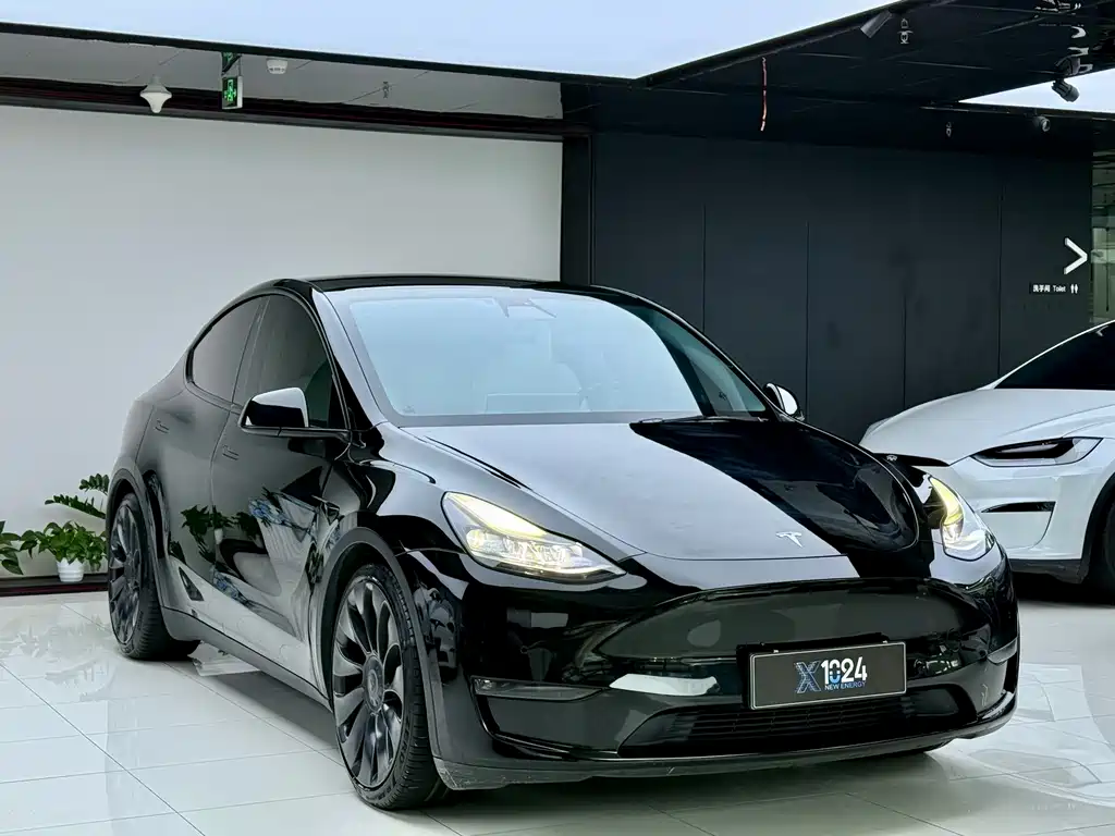 Tesla Model Y — фото 3
