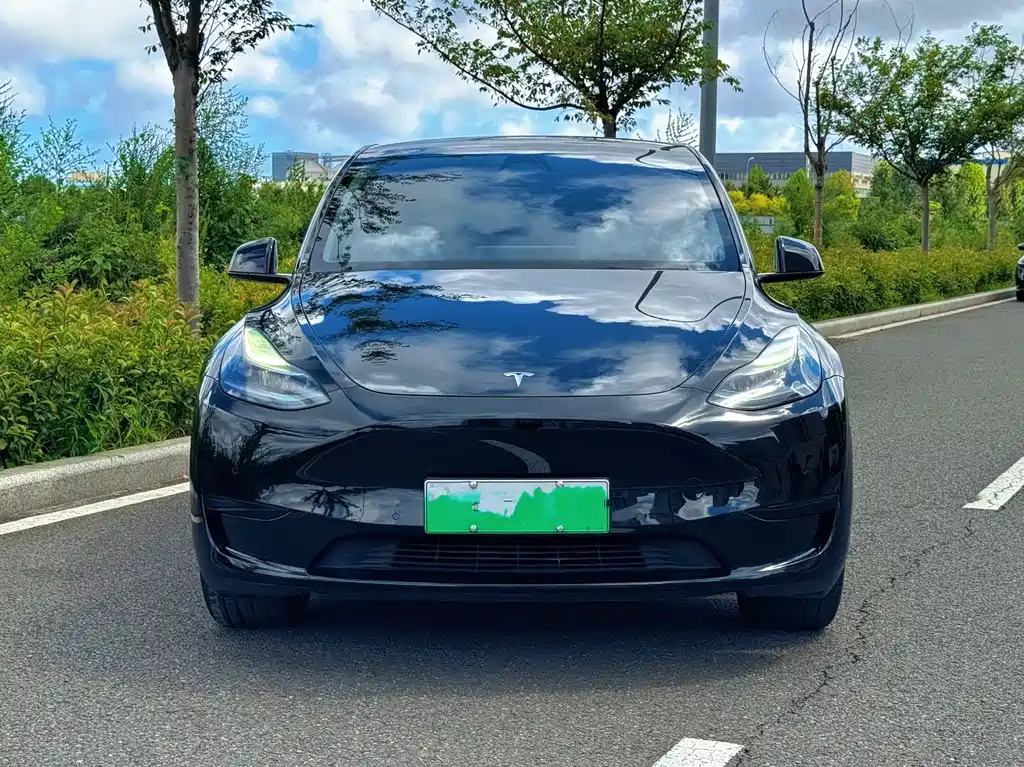 Tesla Model Y — фото 2
