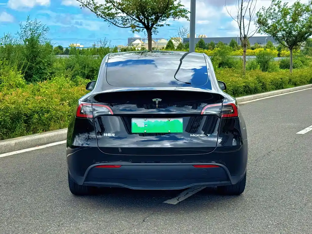 Tesla Model Y — фото 8