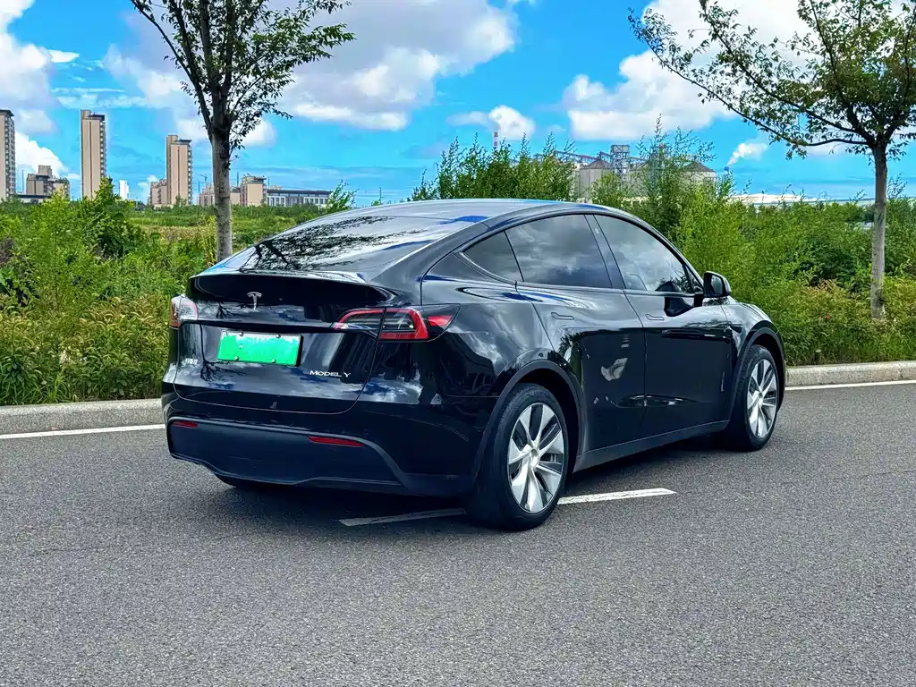 Tesla Model Y — фото 9