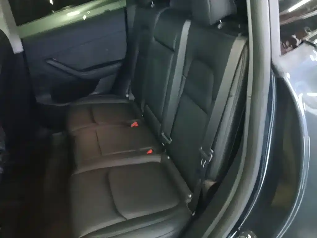 Tesla Model Y — фото 17