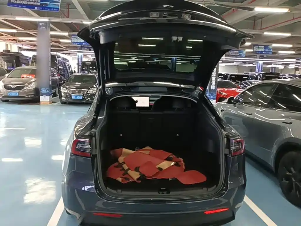 Tesla Model Y — фото 19