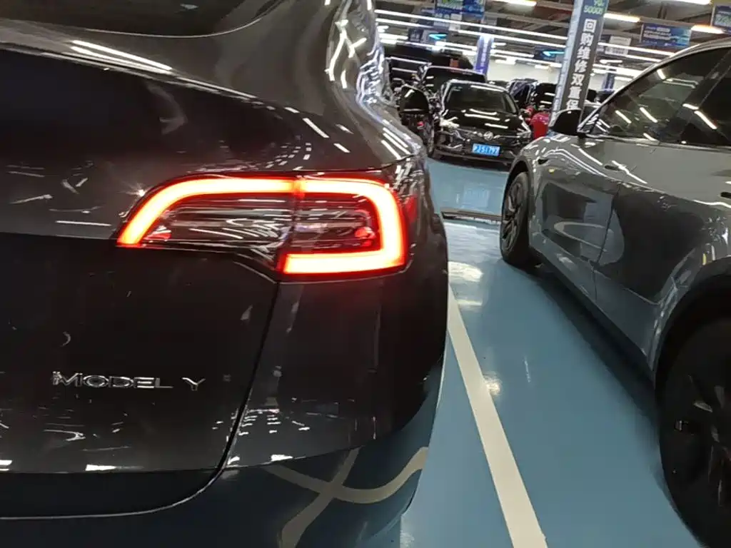 Tesla Model Y — фото 8
