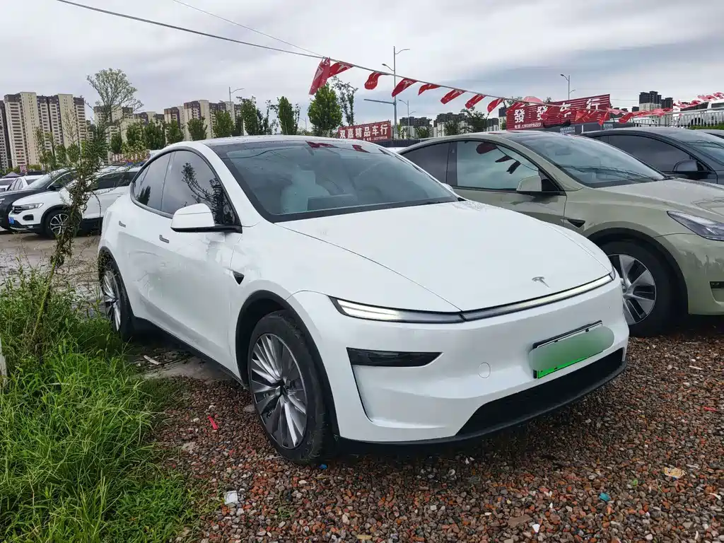 Tesla Model Y — фото 3