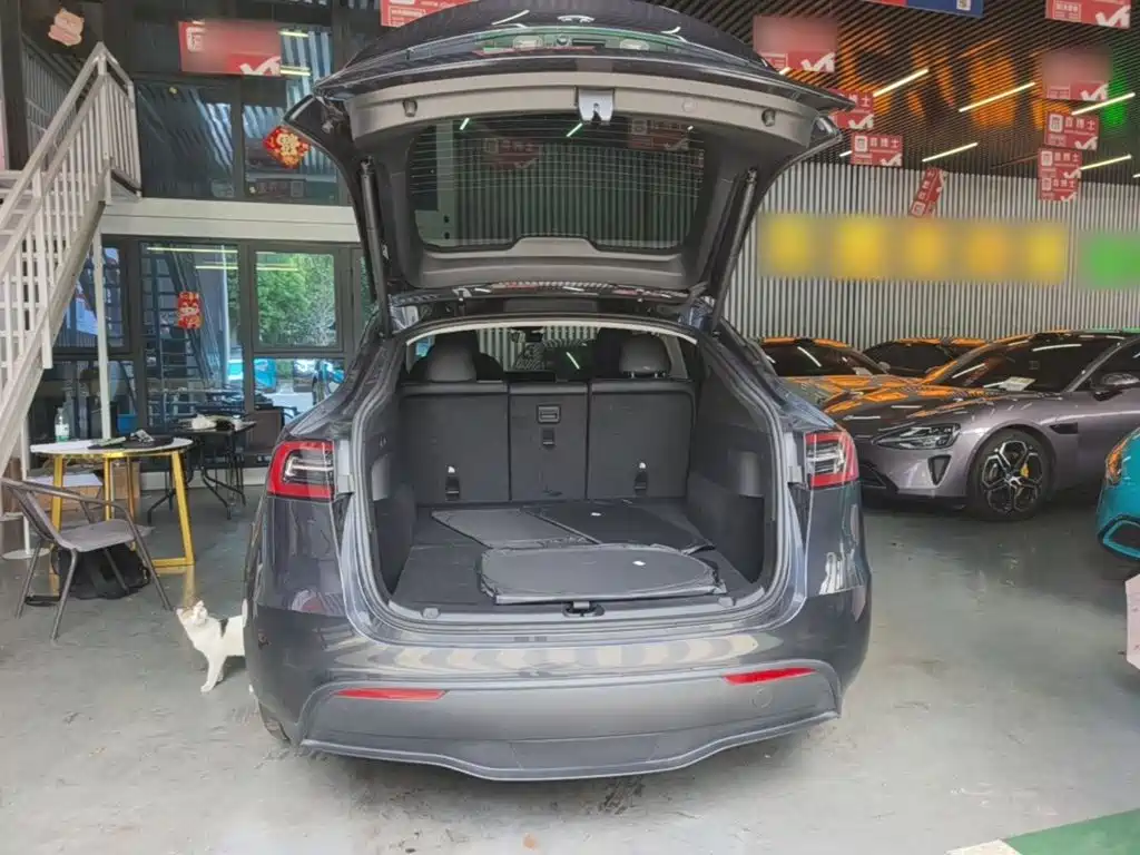 Tesla Model Y — фото 19