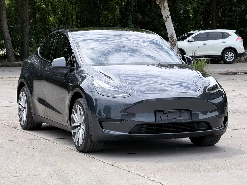 Tesla Model Y — фото 3