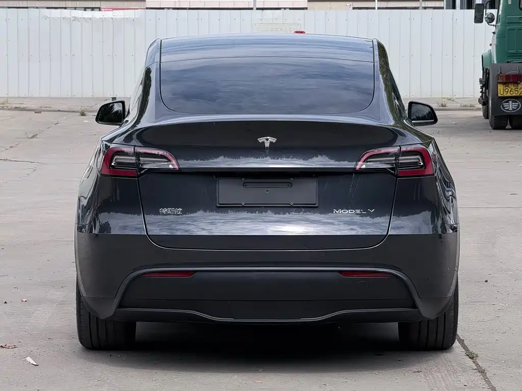 Tesla Model Y — фото 5