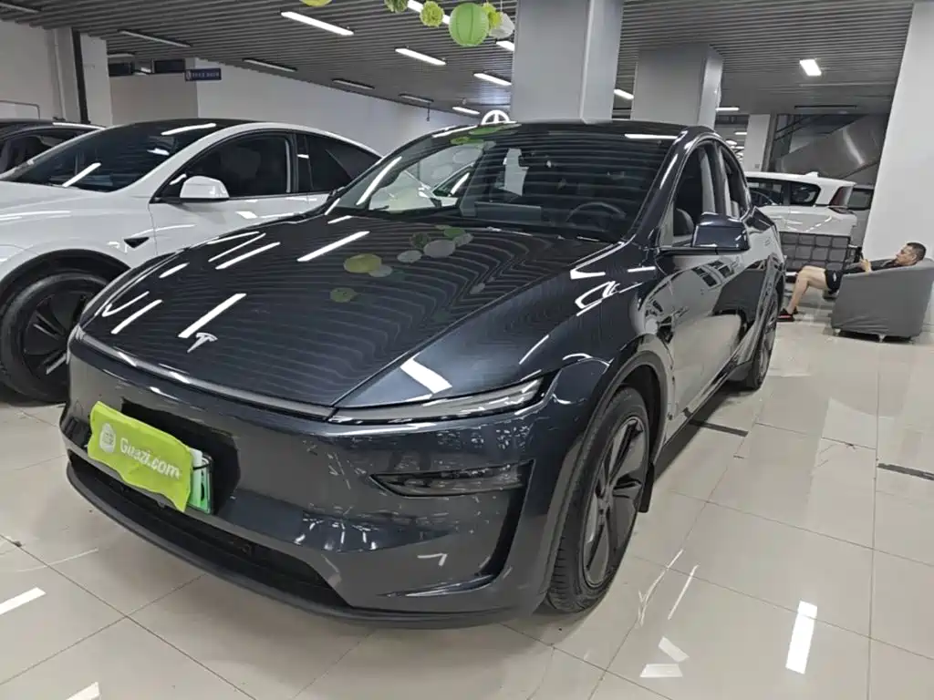 Tesla Model Y — фото 2