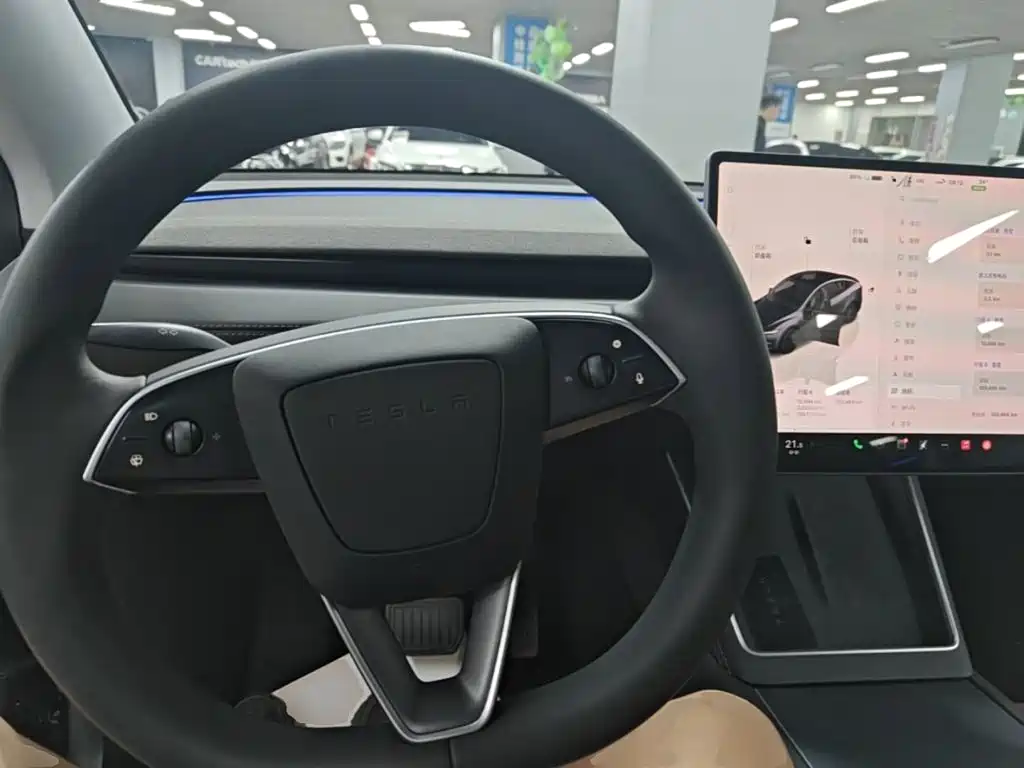 Tesla Model Y — фото 11