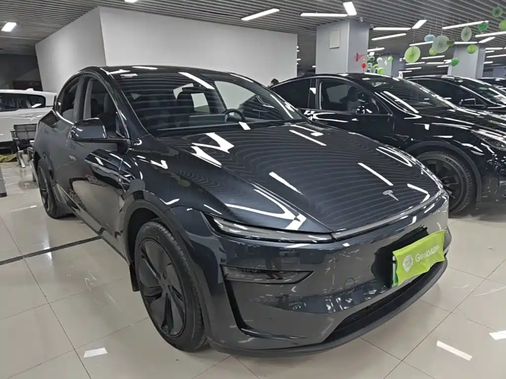 Tesla Model Y — фото 4