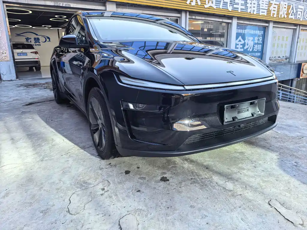 Tesla Model Y — фото 3