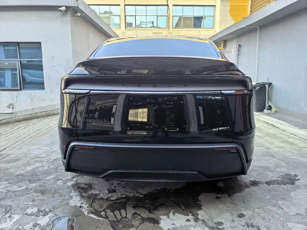 Tesla Model Y — фото 5