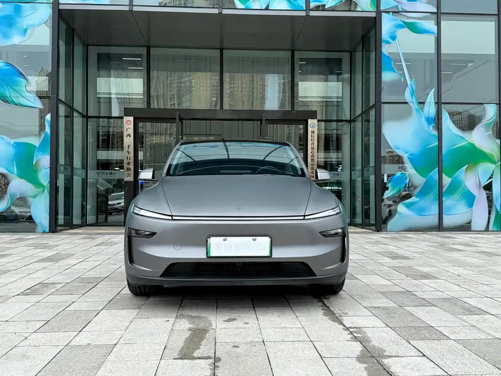 Tesla Model Y — фото 2