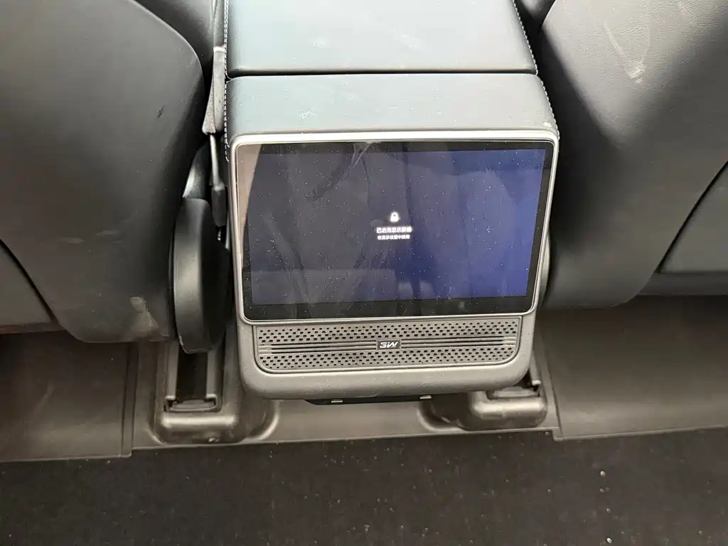 Tesla Model Y — фото 20