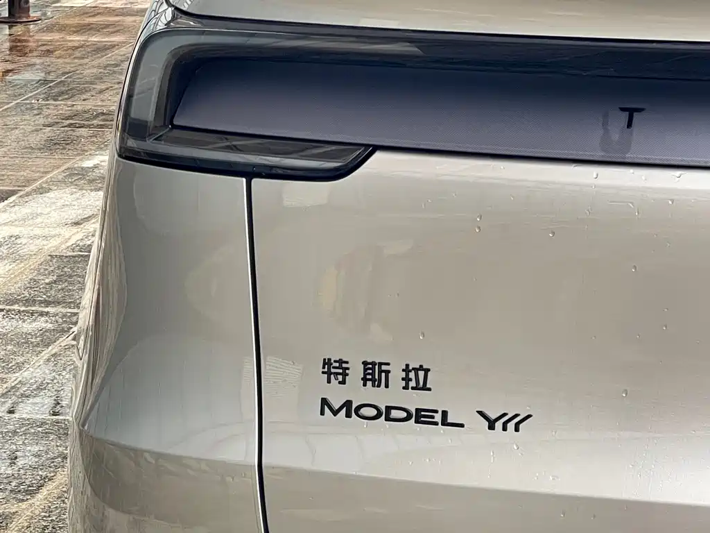 Tesla Model Y L — фото 26