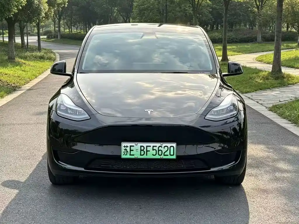 Tesla Model Y — фото 2