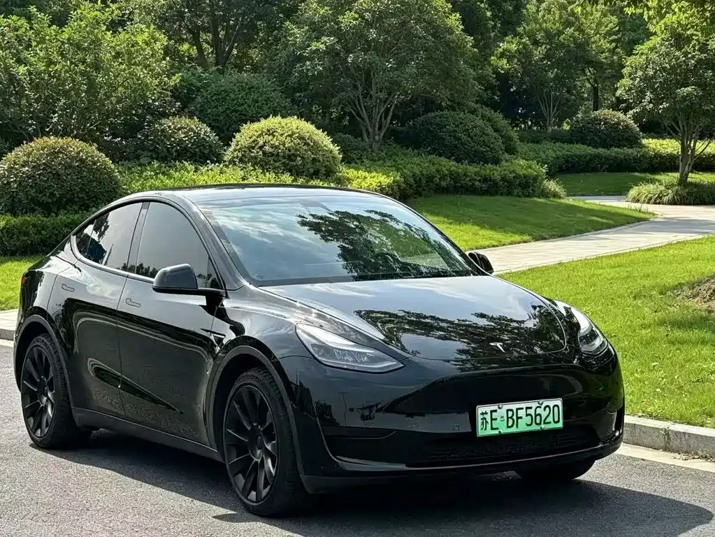 Tesla Model Y — фото 3