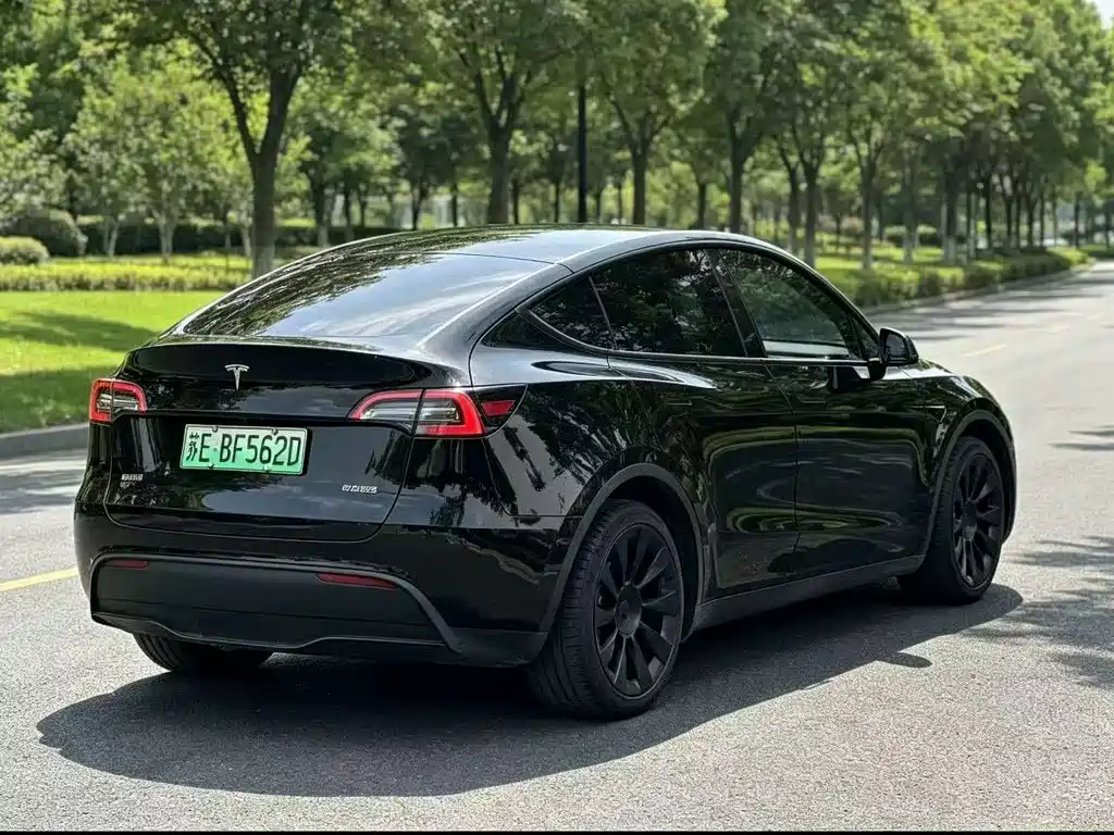 Tesla Model Y — фото 7