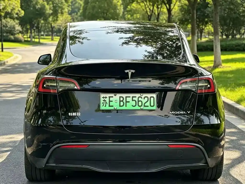 Tesla Model Y — фото 8