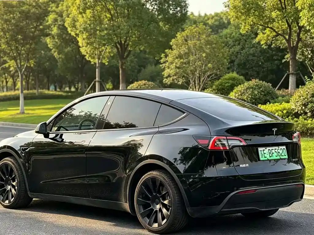 Tesla Model Y — фото 9