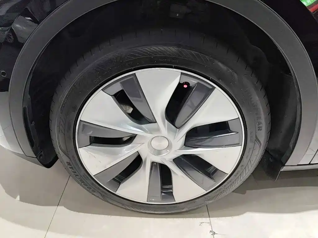 Tesla Model Y — фото 23